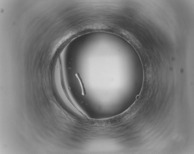 X0000070880727200607071947