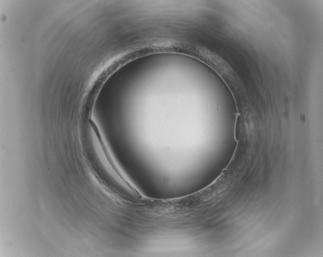 X0000070880728200607071947