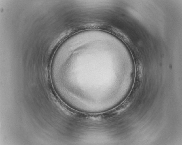 X0000070880729200607071947