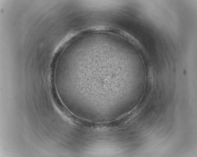 X0000070880730200607071947