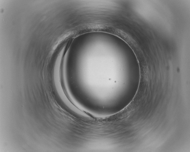 X0000070880731200607071947