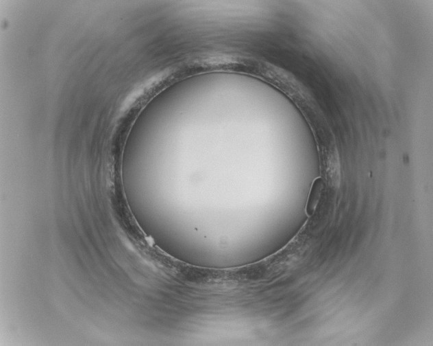 X0000070880732200607071947