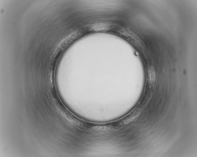 X0000070880733200607071947