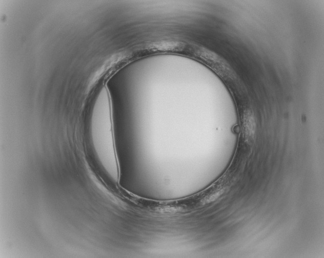 X0000070880734200607071947