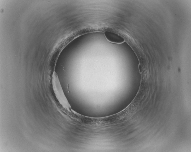 X0000070880736200607071947