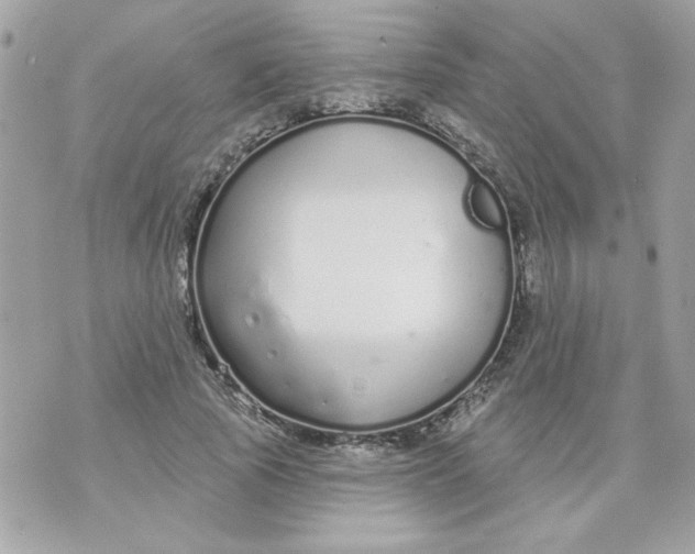 X0000070880737200607071947