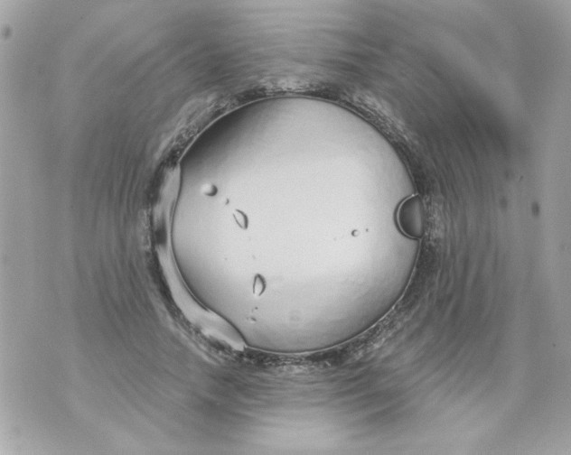 X0000070880738200607071947