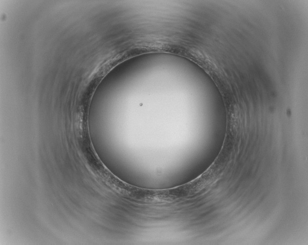 X0000070880739200607071947