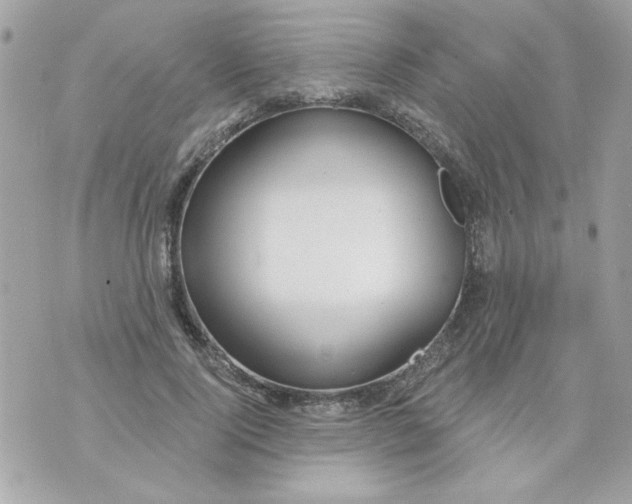 X0000070880740200607071947