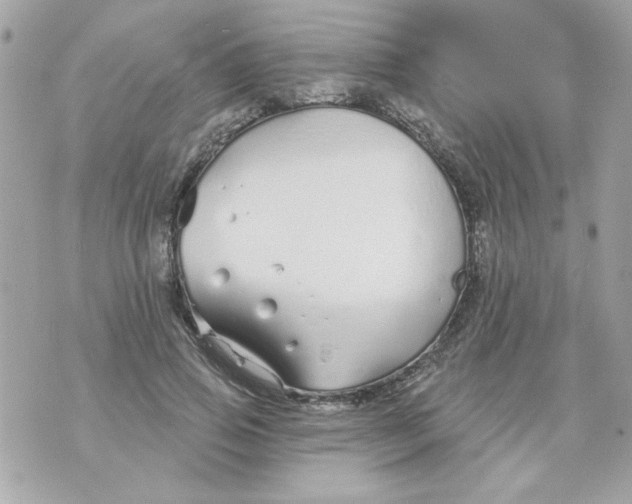 X0000070880741200607071947