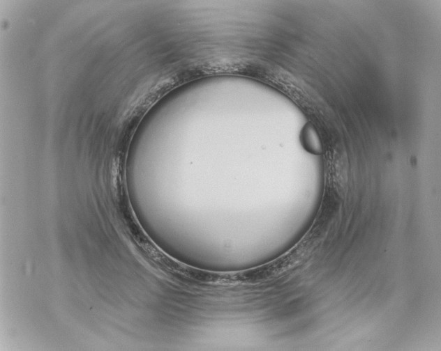 X0000070880742200607071947