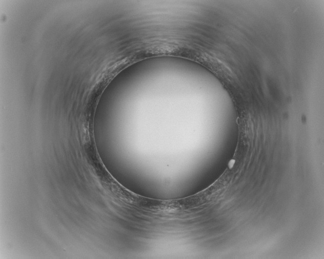 X0000070880743200607071947