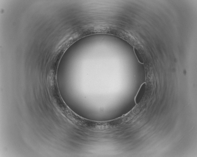 X0000070880744200607071947