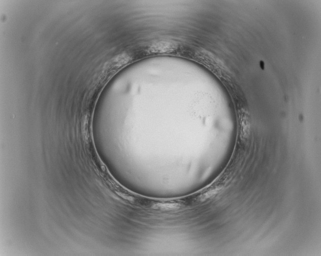 X0000070880745200607071947