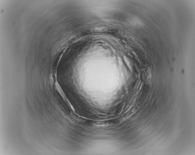 X0000070880746200607071947