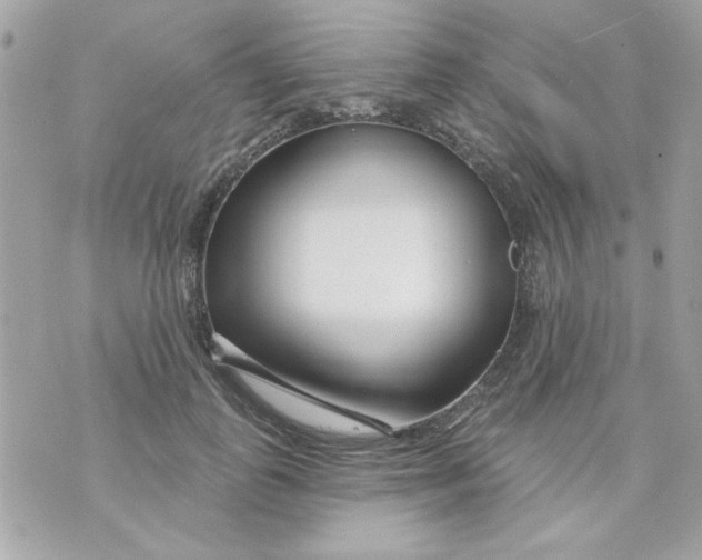 X0000070880747200607071947