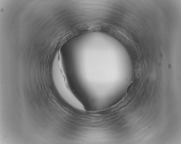 X0000070880748200607071947