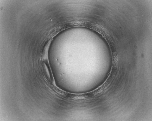 X0000070880749200607071947