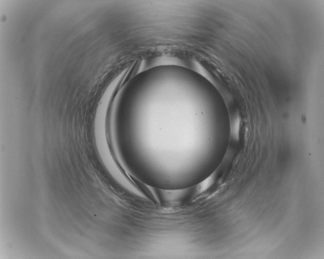 X0000070880750200607071947