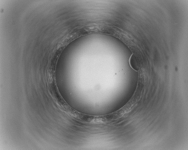 X0000070880751200607071947