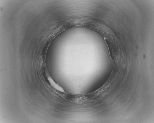 X0000070880752200607071947