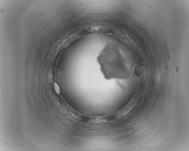 X0000070880754200607071947