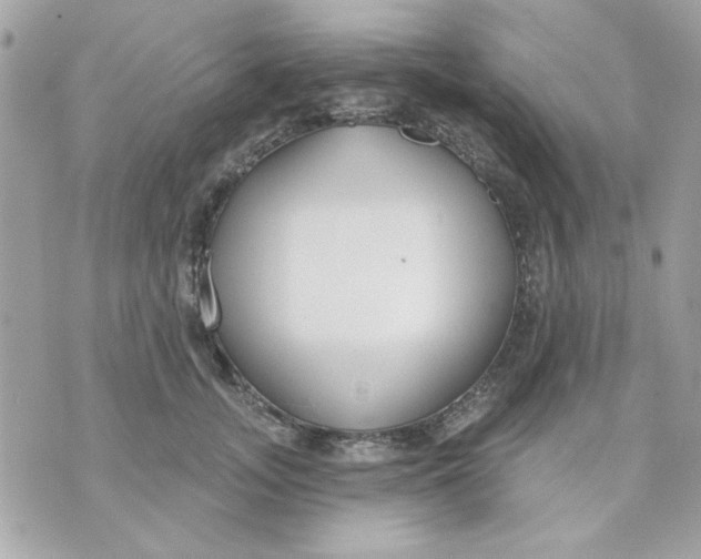 X0000070880755200607071947