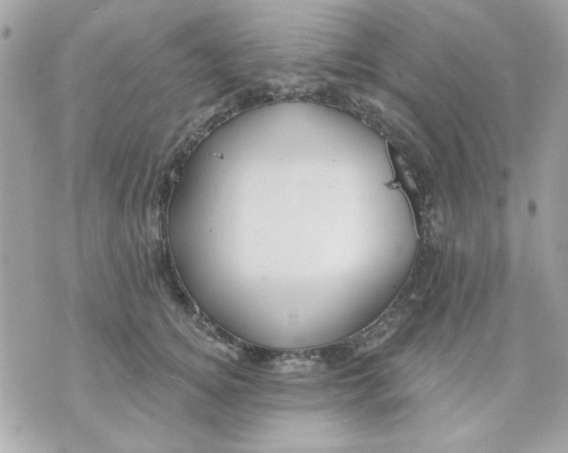 X0000070880756200607071947