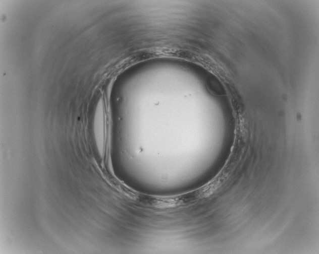 X0000070880757200607071947