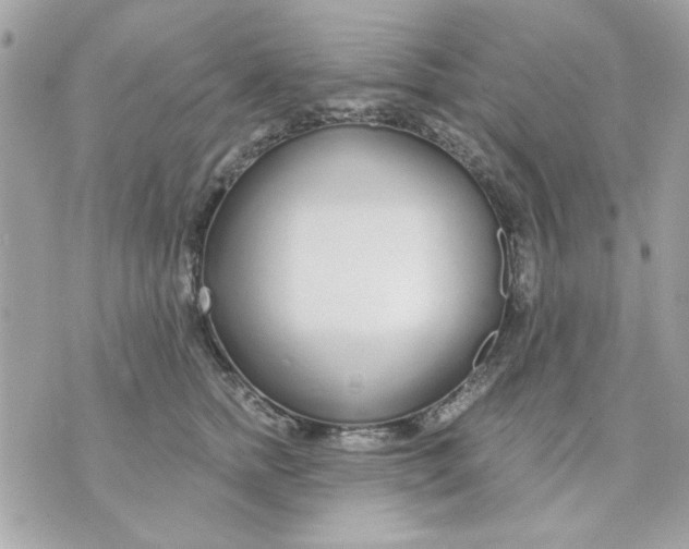 X0000070880758200607071947