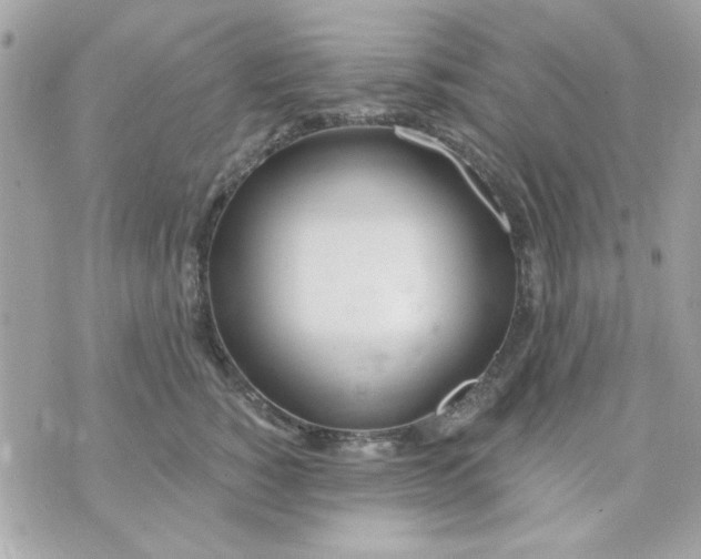 X0000070880760200607071947