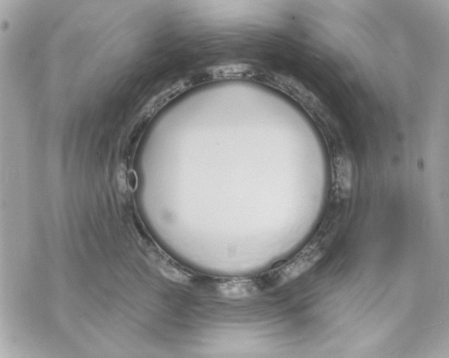 X0000070880761200607071947