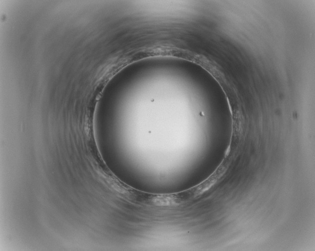 X0000070880762200607071947