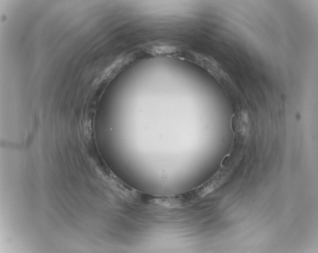 X0000070880763200607071947