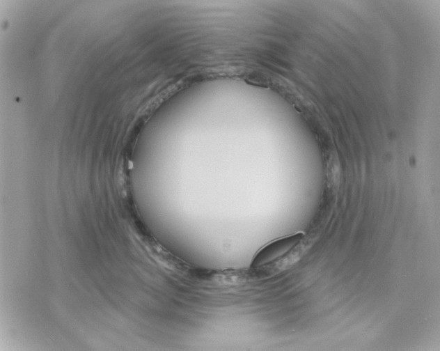 X0000070880764200607071947