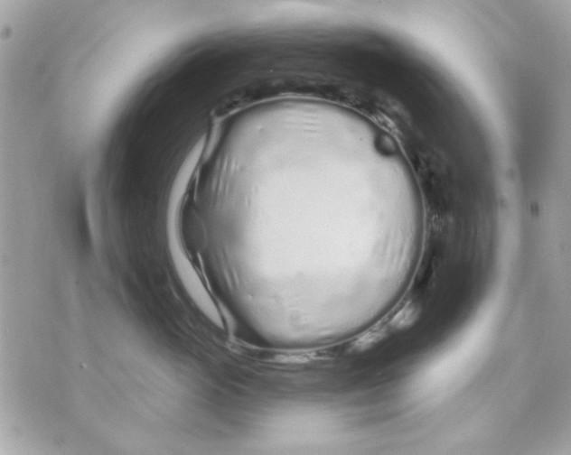 X0000070880765200607071947