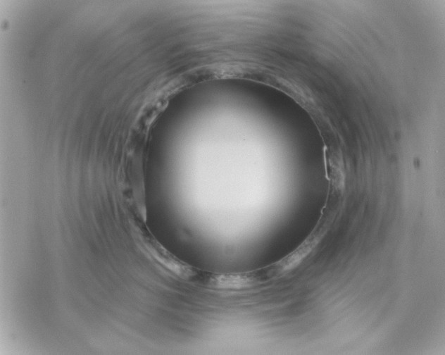 X0000070880766200607071948