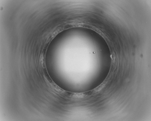 X0000070880767200607071948