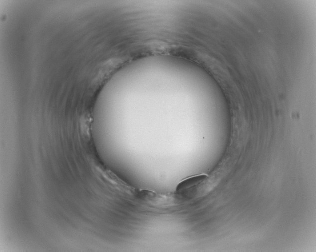 X0000070880768200607071948