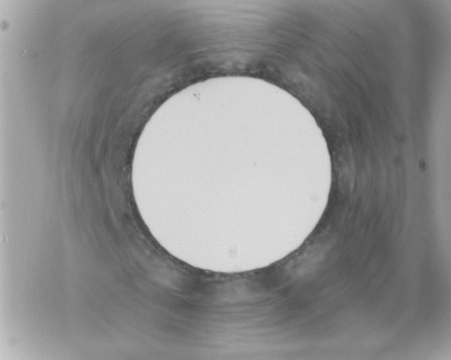 X0000070880769200607071947