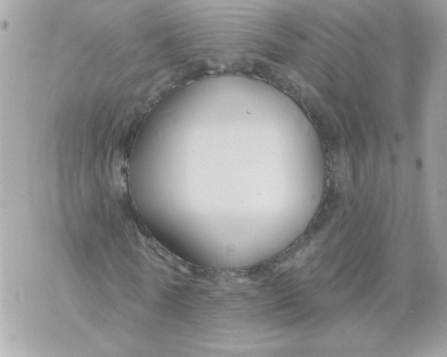 X0000070880770200607071947