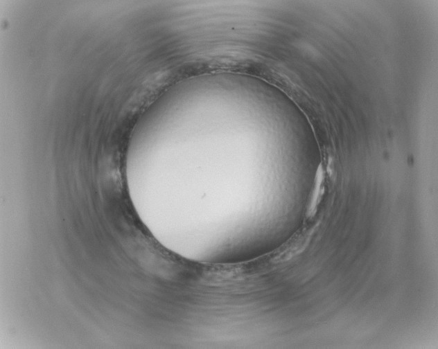 X0000070880771200607071947