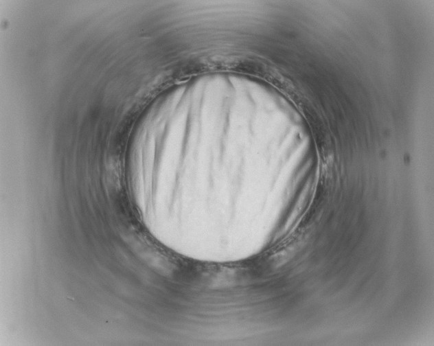 X0000070880772200607071947