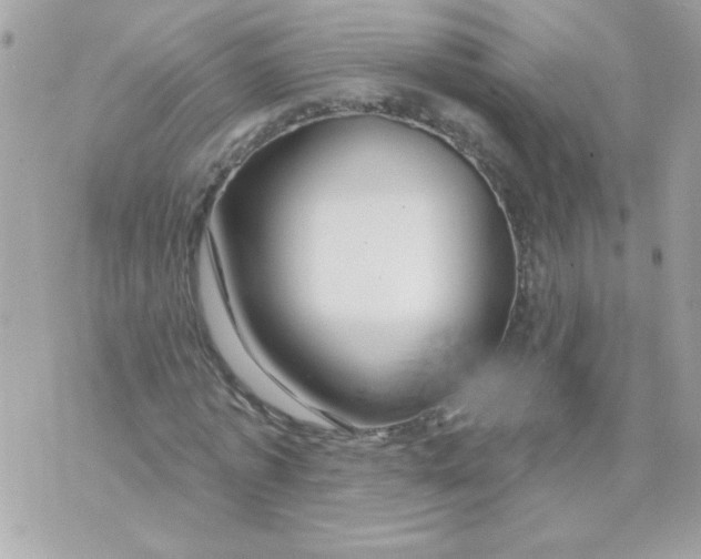 X0000070880773200607071947