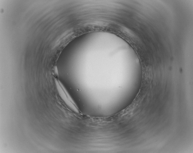 X0000070880774200607071947