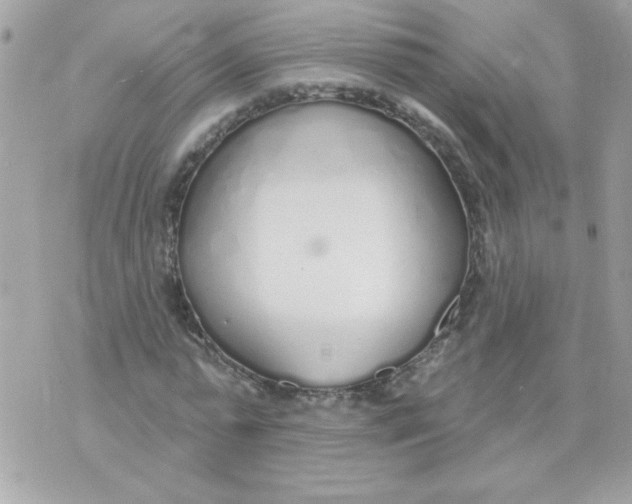 X0000070880775200607071947