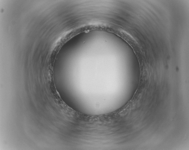 X0000070880776200607071947