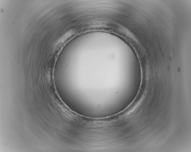 X0000070880777200607071947