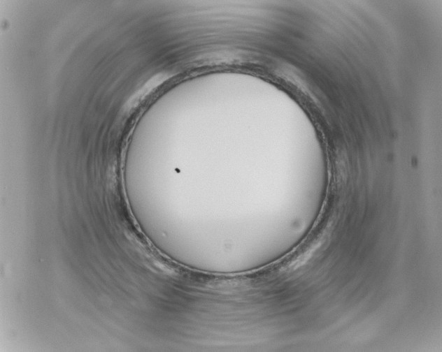 X0000070880778200607071947