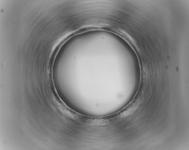 X0000070880779200607071947